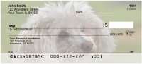 Toy Poodles Personal Checks | DOG-21