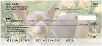 Charming Chihuahua Personal Checks | DOG-51