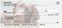O So Chocolate Labs Personal Checks | DOG-54