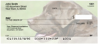 O So Chocolate Labs Personal Checks | DOG-54