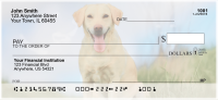 Majestic Yellow Lab Personal Checks | DOG-56