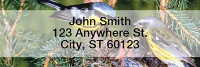 Baby Birds Rectangle Address Labels | LRANI-16