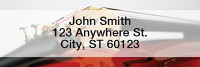 Violin Rectangle Address Labels | LRMUS-19