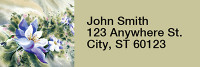 Hummingbird Magic Rectangle Address Labels | LRRANI-21