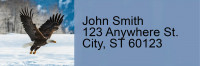 Bald Eagles Rectangle Address Labels | LRRANI-29