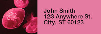 Jellyfish Rectangle Address Labels | LRRANI-37