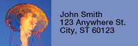 Jellyfish Rectangle Address Labels | LRRANI-37