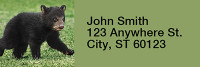 Black Bear Cubs Rectangle Address Labels | LRRANI-44