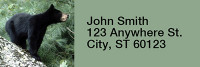 Black Bear Cubs Rectangle Address Labels | LRRANI-44