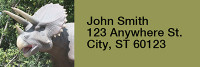 Dinosaurs Alive Rectangle Address Labels | LRRANJ-09