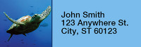 Sea Turtles Under Water Rectangle Address Labels | LRRANK-72