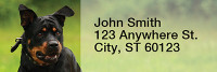 Rottweiler Rectangle Address Labels | LRRDOG-40