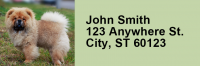 Chow Chow Rectangle Address Labels | LRRDOG-49