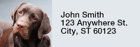 O So Chocolate Labs Rectangle Address Labels | LRRDOG-54