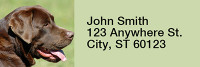 O So Chocolate Labs Rectangle Address Labels | LRRDOG-54