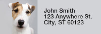 Mischievous Jack Russells Rectangle Address Labels | LRRDOG-58