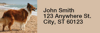 Collies Come home Rectangle Address Labels | LRRDOG-70
