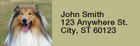 Collies Come home Rectangle Address Labels | LRRDOG-70