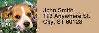 Brilliant Beagles Rectangle Address Labels | LRRDOG-73