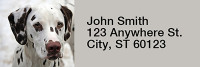 Snugly Schnauzer Rectangle Address Labels | LRRDOG-77
