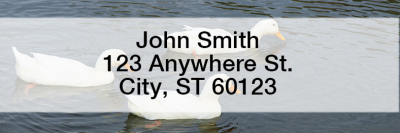 Ducks Rectangle Address Labels | LRANI-30
