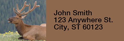 More Elk Rectangle Address Labels | LRRANI-23
