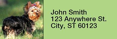 Yorkshire Terriers Rectangle Address Labels | LRRDOG-24