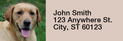 Majestic Yellow Lab Rectangle Address Labels | LRRDOG-56