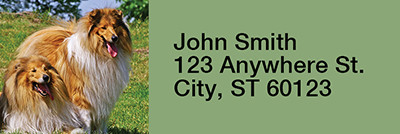 Collies Come home Rectangle Address Labels | LRRDOG-70