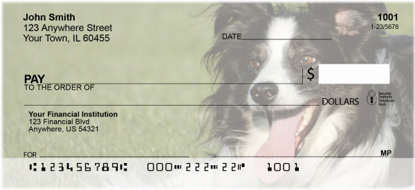 Bouncing Border Collie Personal Checks | DOG-68