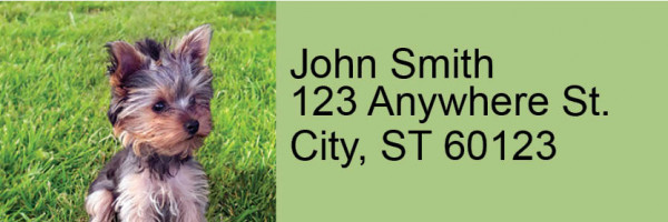 Yorkies Rectangle Address Labels | LRRDOG-57
