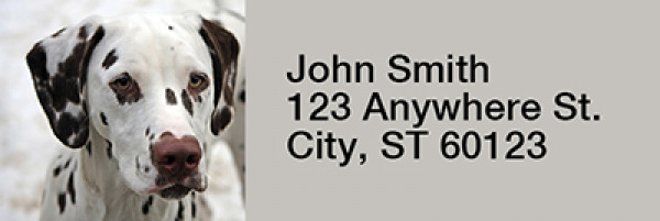 Snugly Schnauzer Rectangle Address Labels | LRRDOG-77